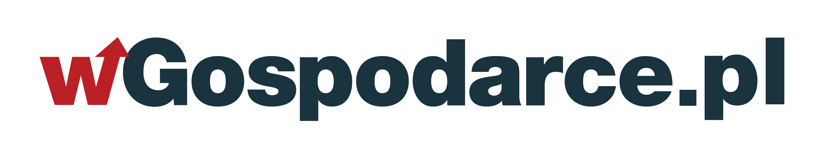 Logo wGospodarce.pl